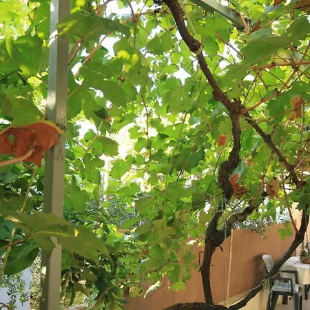 With A Parking Space Rukavac, - 8897 Διαμέρισμα
